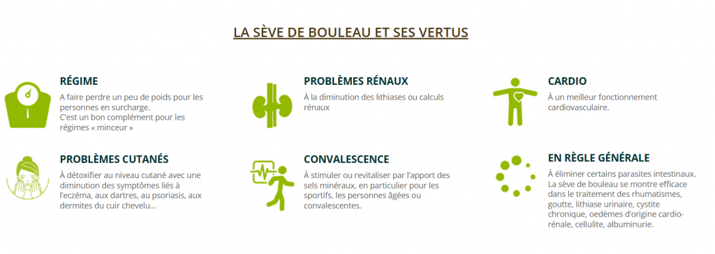 BIENFAITS CURE DE SEVE DE BOULEAU FRAÎCHE