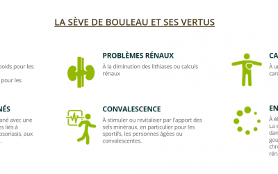 CURE DE SEVE DE BOULEAU FRAÎCHE POUR VOTRE DETOX DU PRINTEMPS!